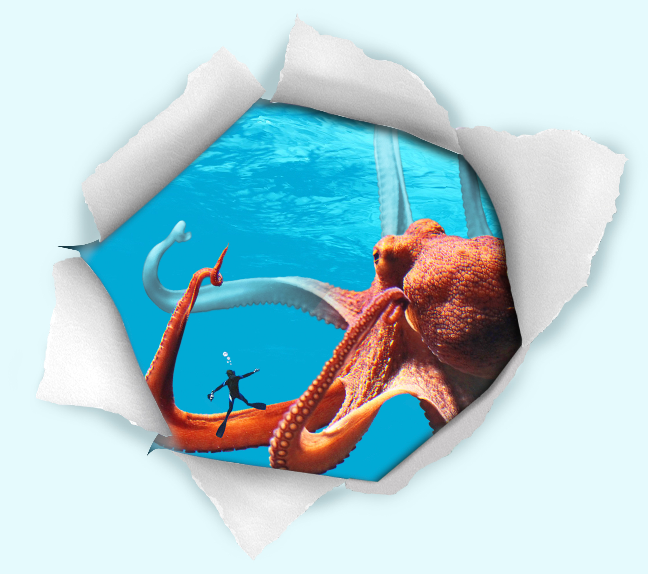AI development company Octopus with diver image